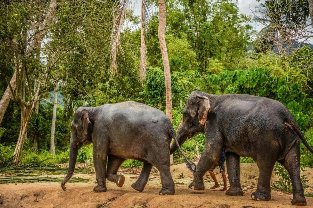 Baan Sala Lung Dam Hotel ボプート エクステリア 写真