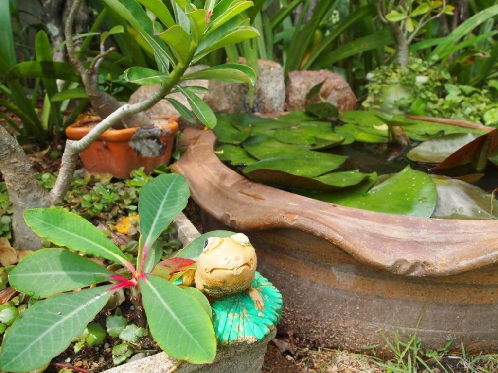 Baan Sala Lung Dam Hotel ボプート エクステリア 写真