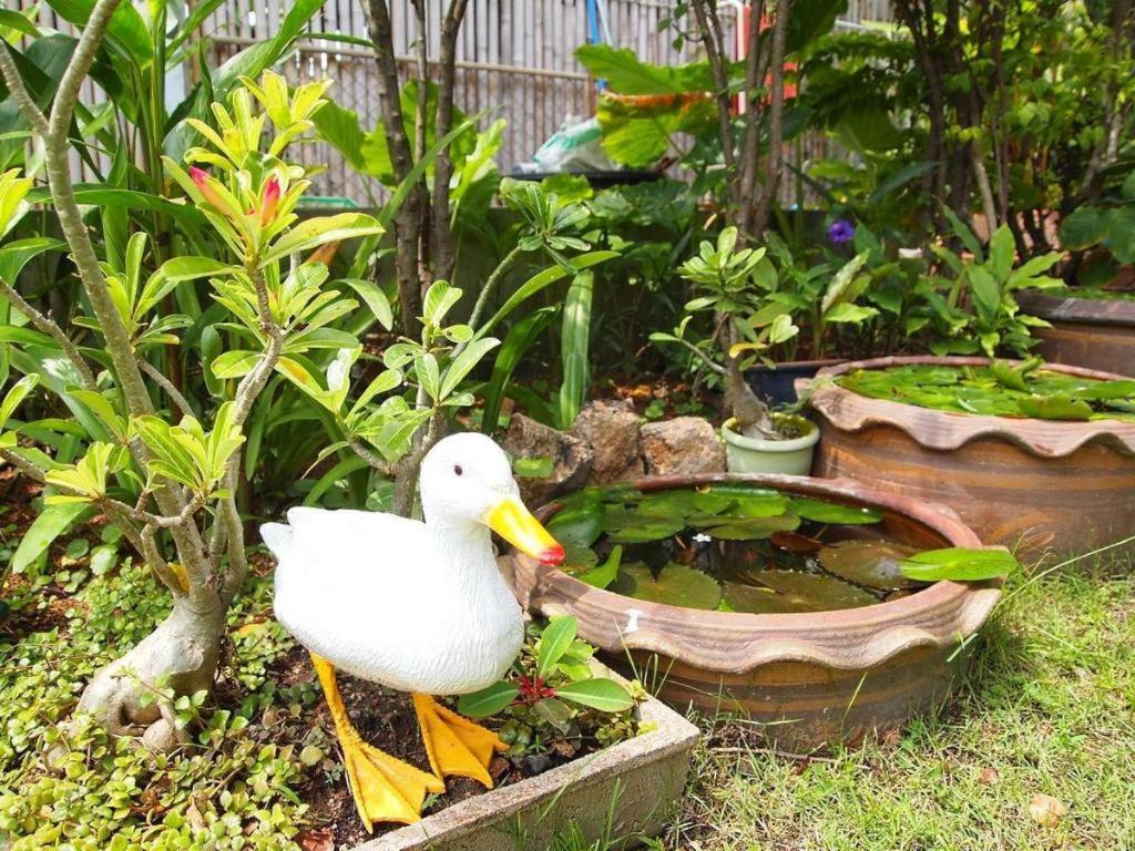 Baan Sala Lung Dam Hotel ボプート エクステリア 写真